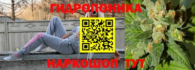 МДПВ Новозыбков