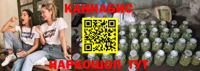 МДПВ Новозыбков